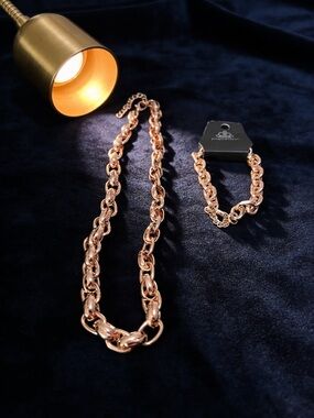 paparazzi Gold-Tone Chunky Link Necklace and Bracelet Set